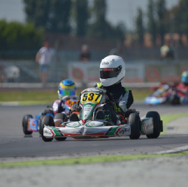 WSK4 Adria15.jpg