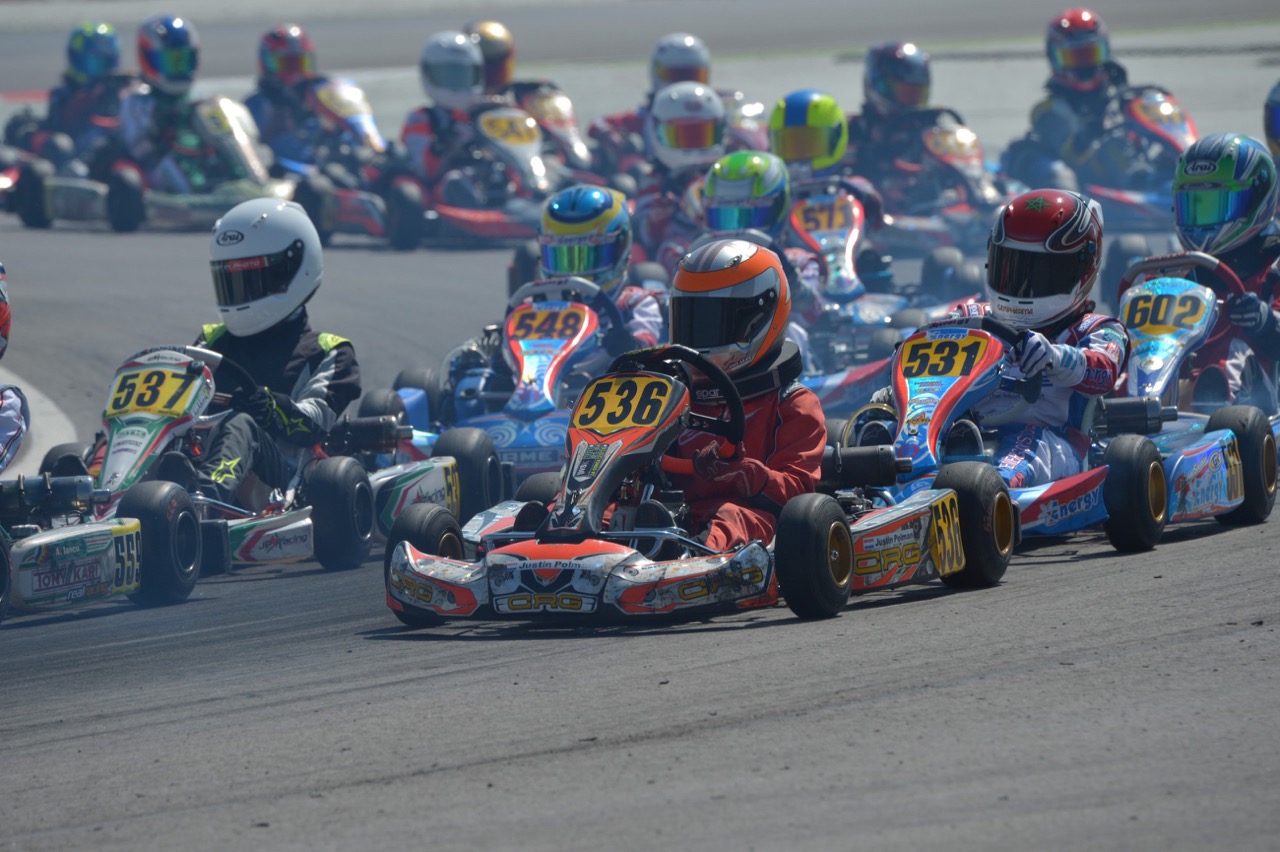 WSK4 Adria20.jpg
